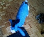 mollyeeyore2.jpg